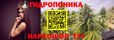 гашик Абинск