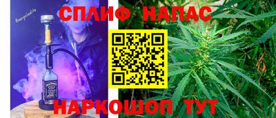 гашик Абинск
