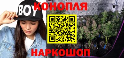 твердый Гай