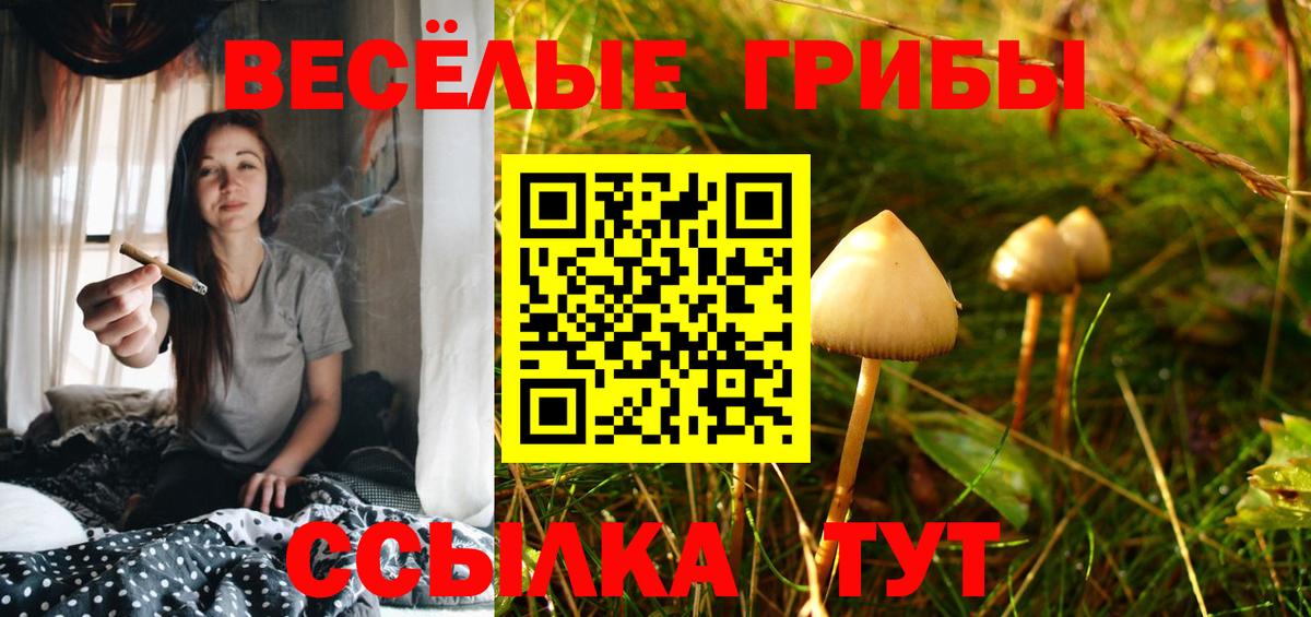 цены наркотик  Псилоцибиновые грибы мухоморы  Вход с VPN  Алексин 