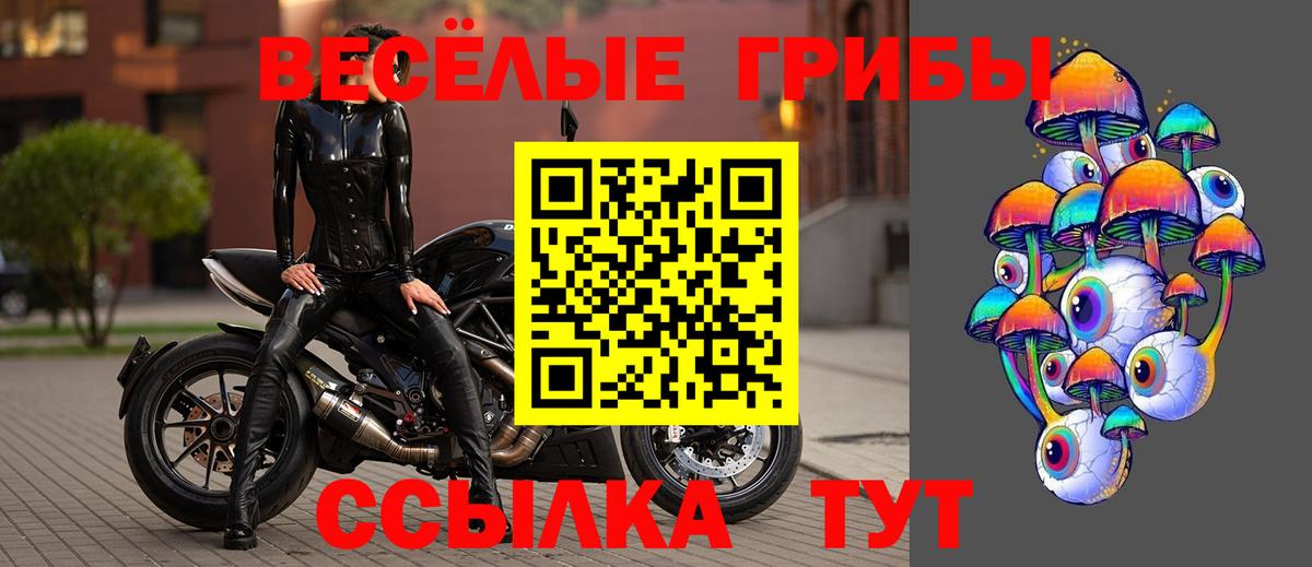 Галлюциногенные грибы прущие грибы  Алексин 