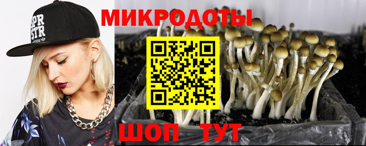 Псилоцибиновые грибы мицелий Алексин