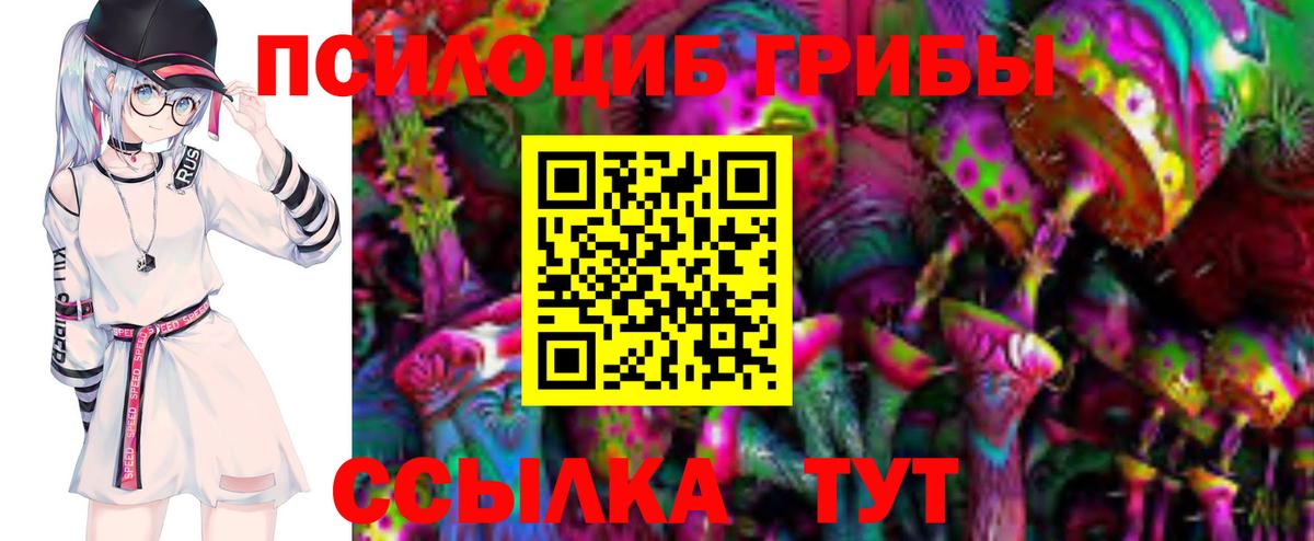 Галлюциногенные грибы Psilocybine cubensis  Вход с VPN  Алексин 